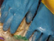 glovesinbarrell.JPG