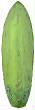 CustomBoards/Greenbiscotti2.JPG