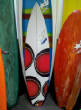 Newestboards/163456_482980981427_541876427_6449707_1290664_n.jpg