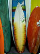Newestboards/167161_482980656427_541876427_6449704_3843243_n.jpg