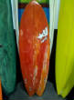 Newestboards/168425_482986541427_541876427_6449774_7690493_n.jpg