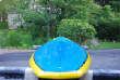 blueyellowsingle/DSC_0107.jpg