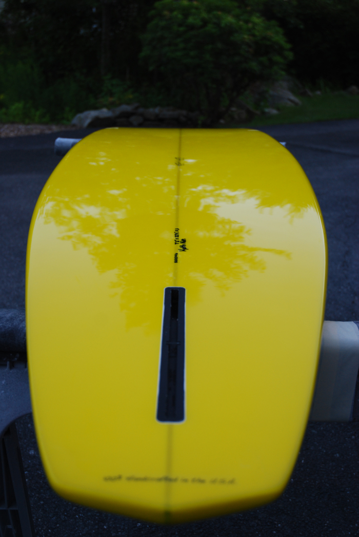 blueyellowsingle/DSC_0113.jpg